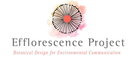 Efflorescence logo