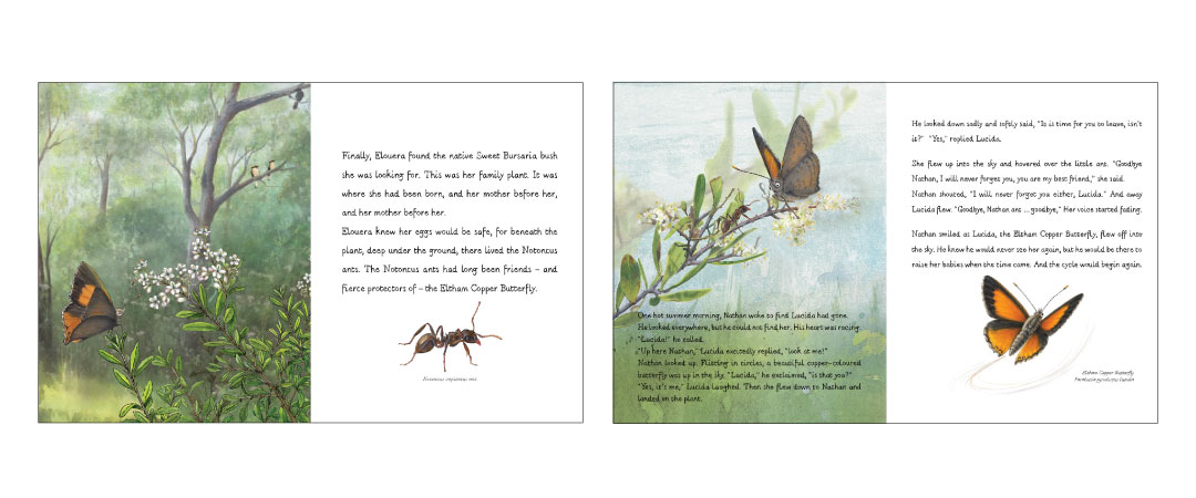 Book-pages-banner Book-pages-banner